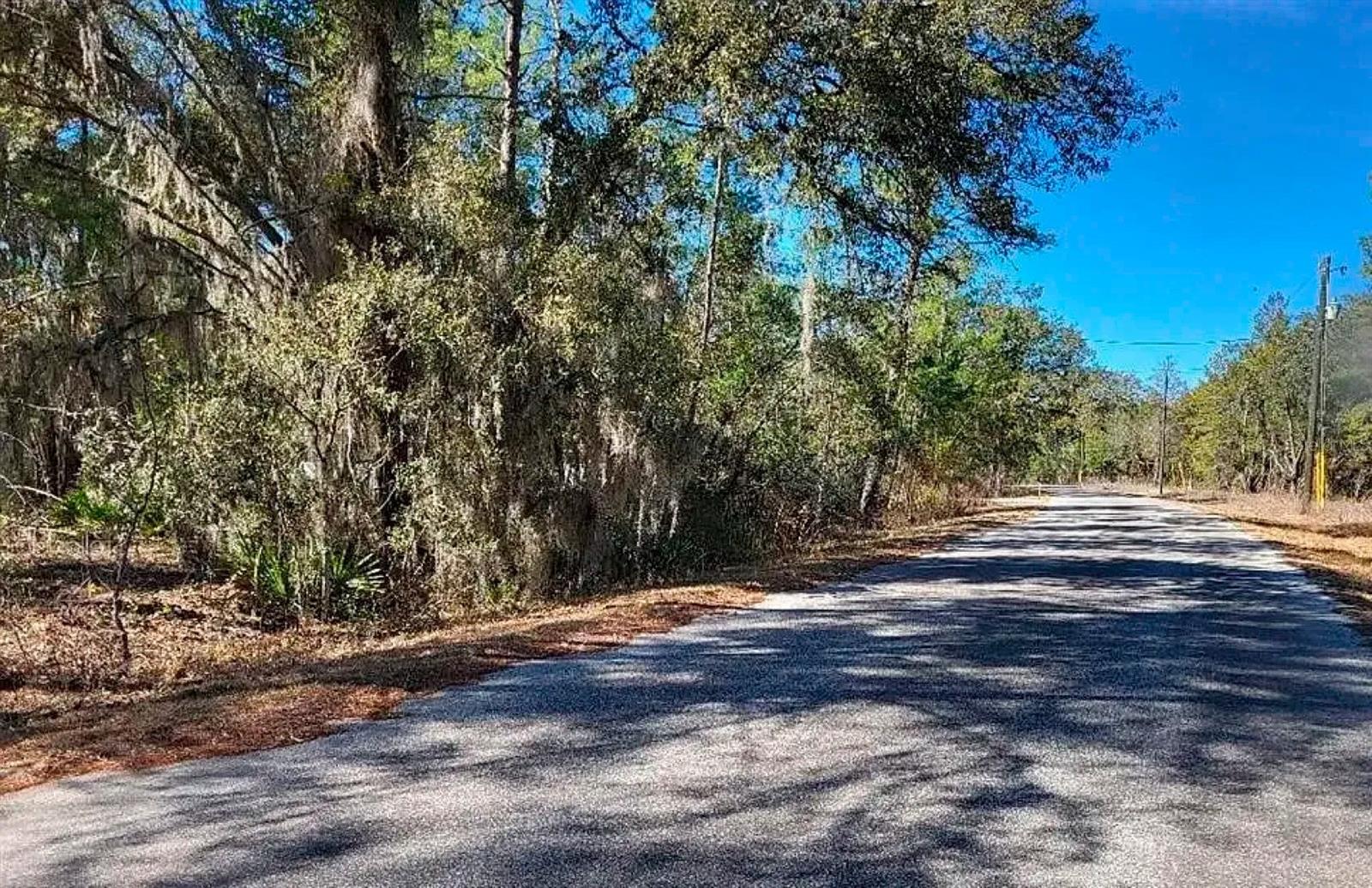 175 FISHER LN CT, OCKLAWAHA, FL — photo 6