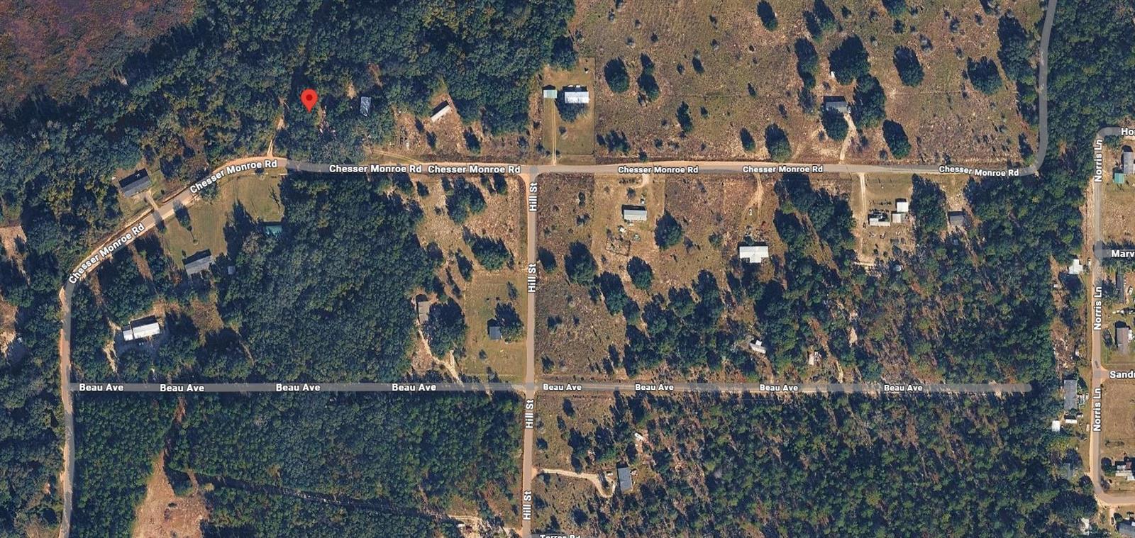 311 CHESSER MONROE RD, HAWTHORNE, FL — photo 11