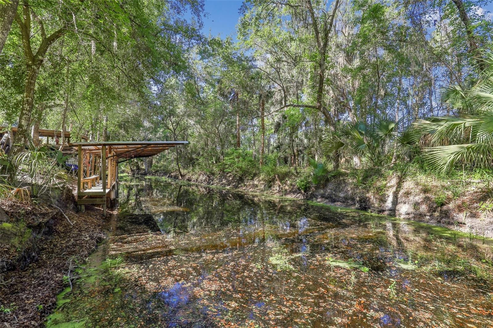 18930 NE 143RD AVE, FORT MC COY, FL — photo 31