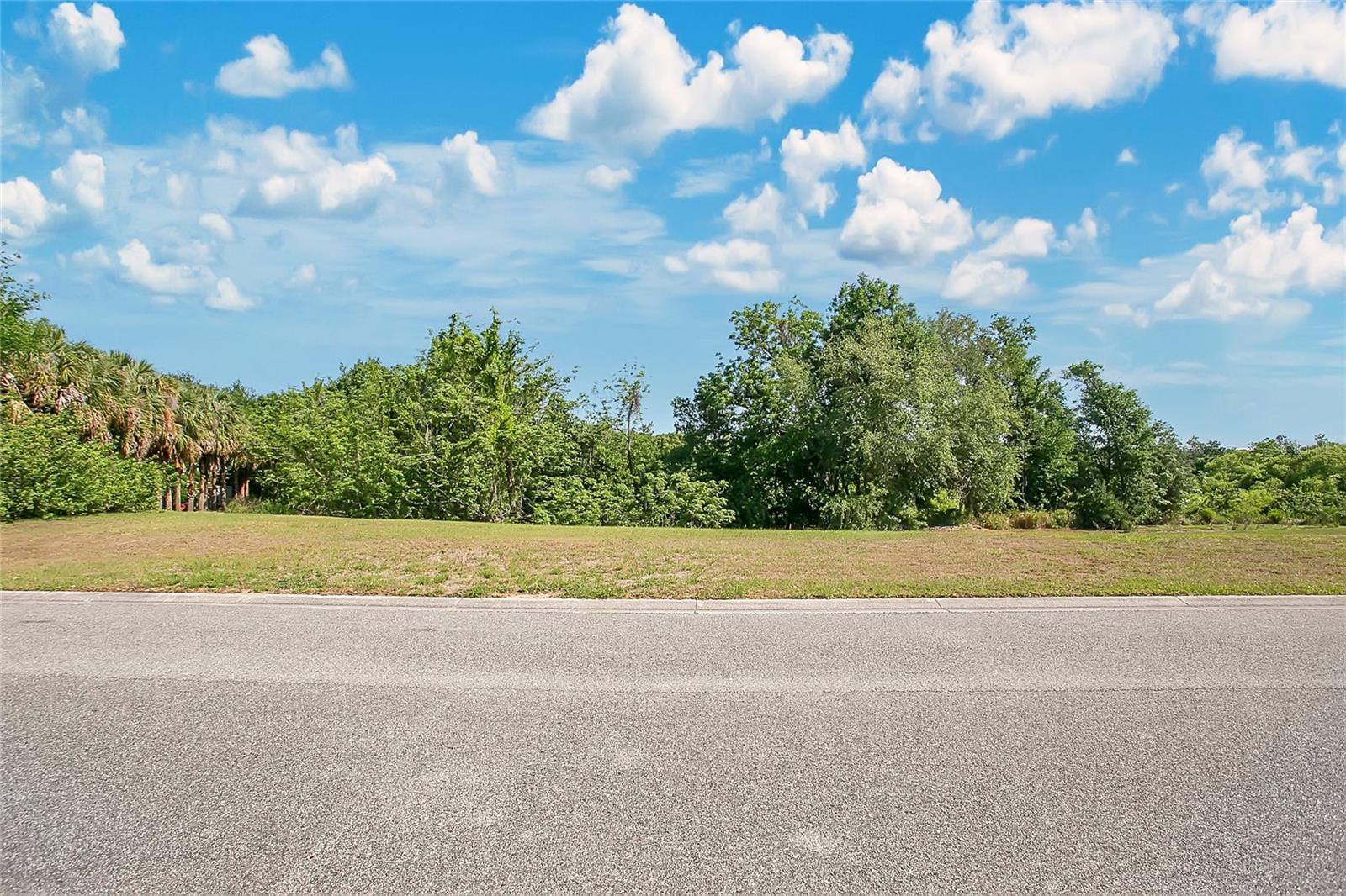1661 ROBERTS LANDING RD, WINDERMERE, FL — photo 4