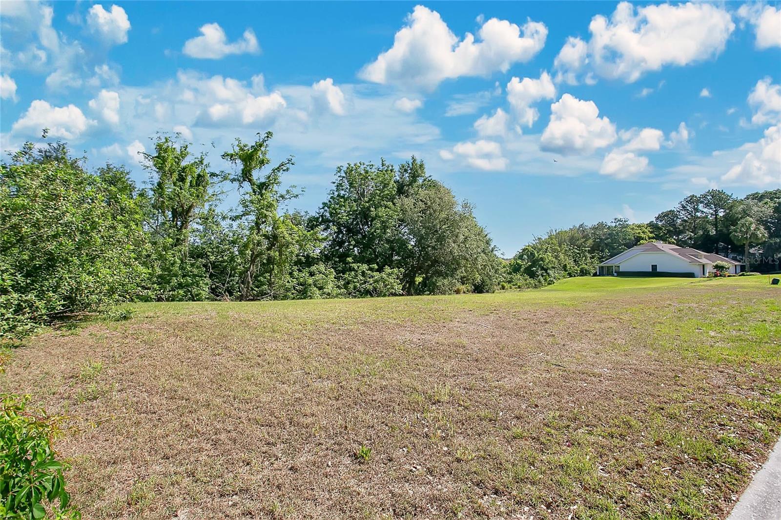 1661 ROBERTS LANDING RD, WINDERMERE, FL — photo 6