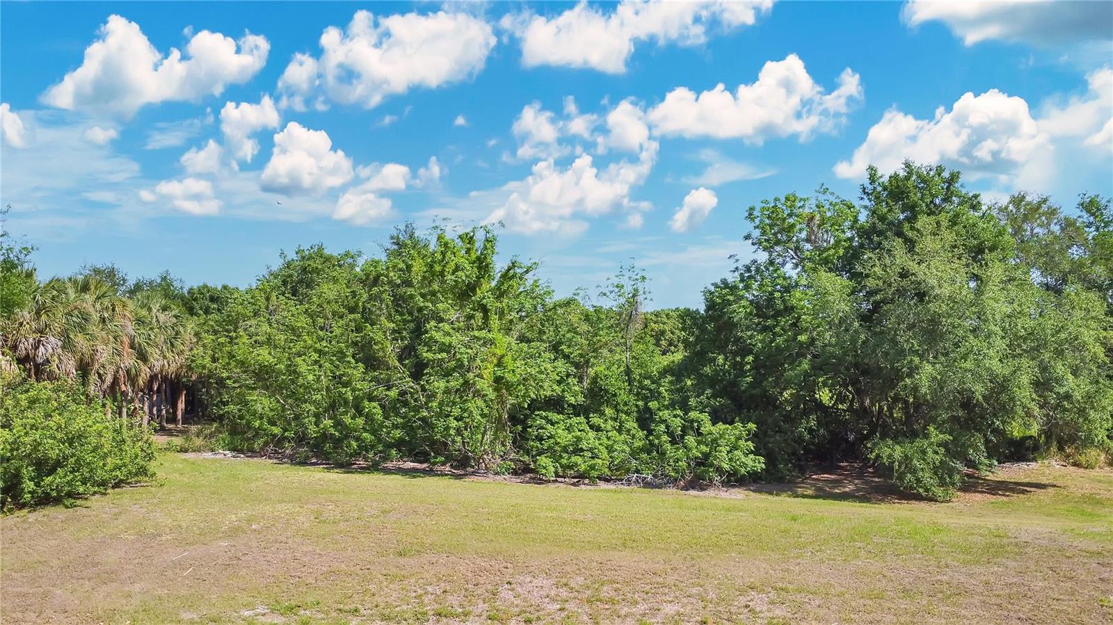 1661 ROBERTS LANDING RD, WINDERMERE, FL — photo 10