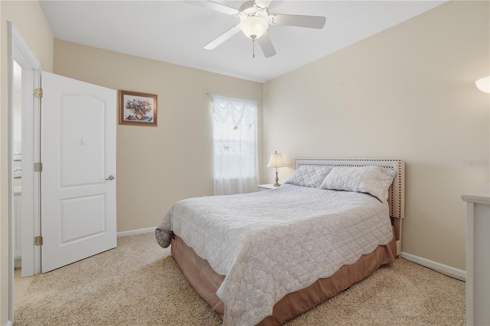 2296 NATOMA BLVD, MOUNT DORA, FL — photo 69