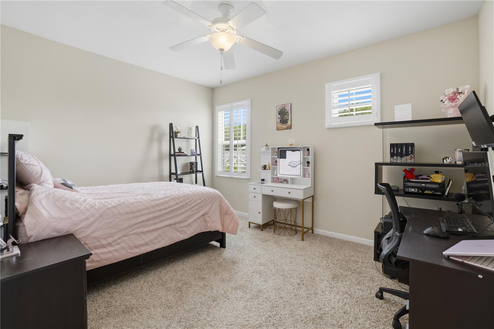 2296 NATOMA BLVD, MOUNT DORA, FL — photo 81
