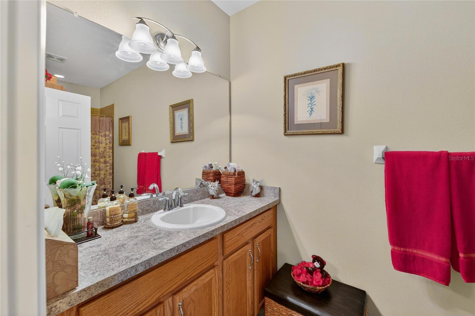12607 GENEVA GLADE DR, RIVERVIEW, FL — photo 26