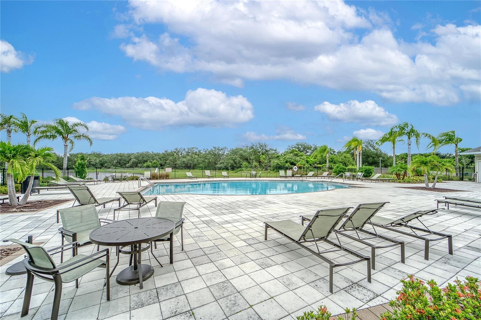 12607 GENEVA GLADE DR, RIVERVIEW, FL — photo 38