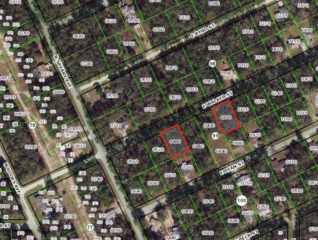 3676 & 3718 E WALKER ST, INVERNESS, FL
