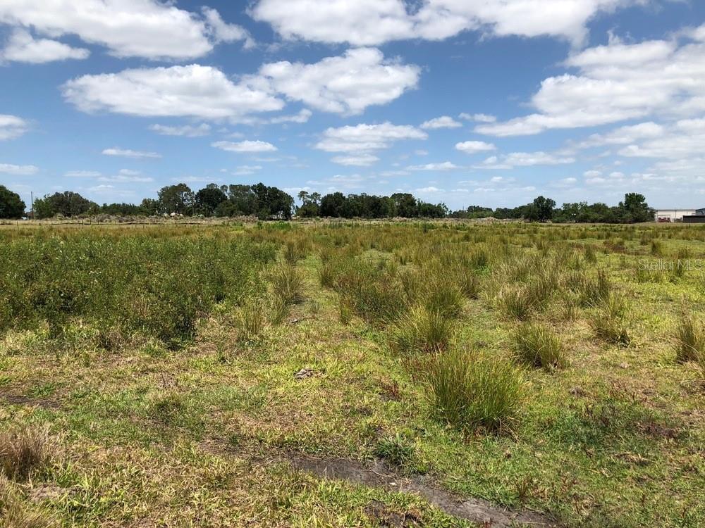 US HIGHWAY 27, HAINES CITY, FL — photo 30
