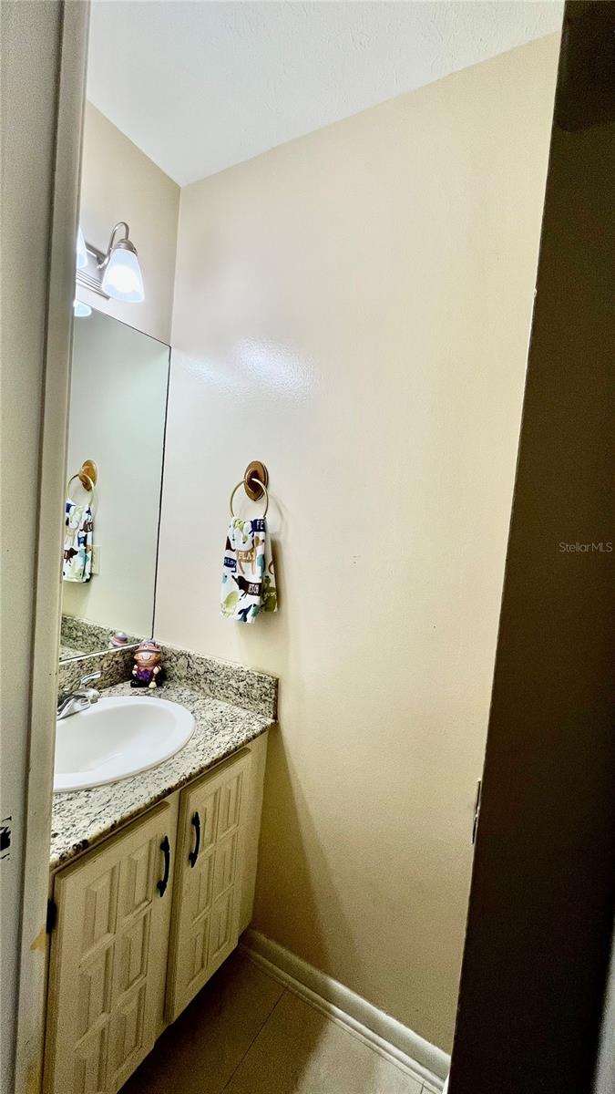 14216 BRIARTHORN DR, TAMPA, FL — photo 25