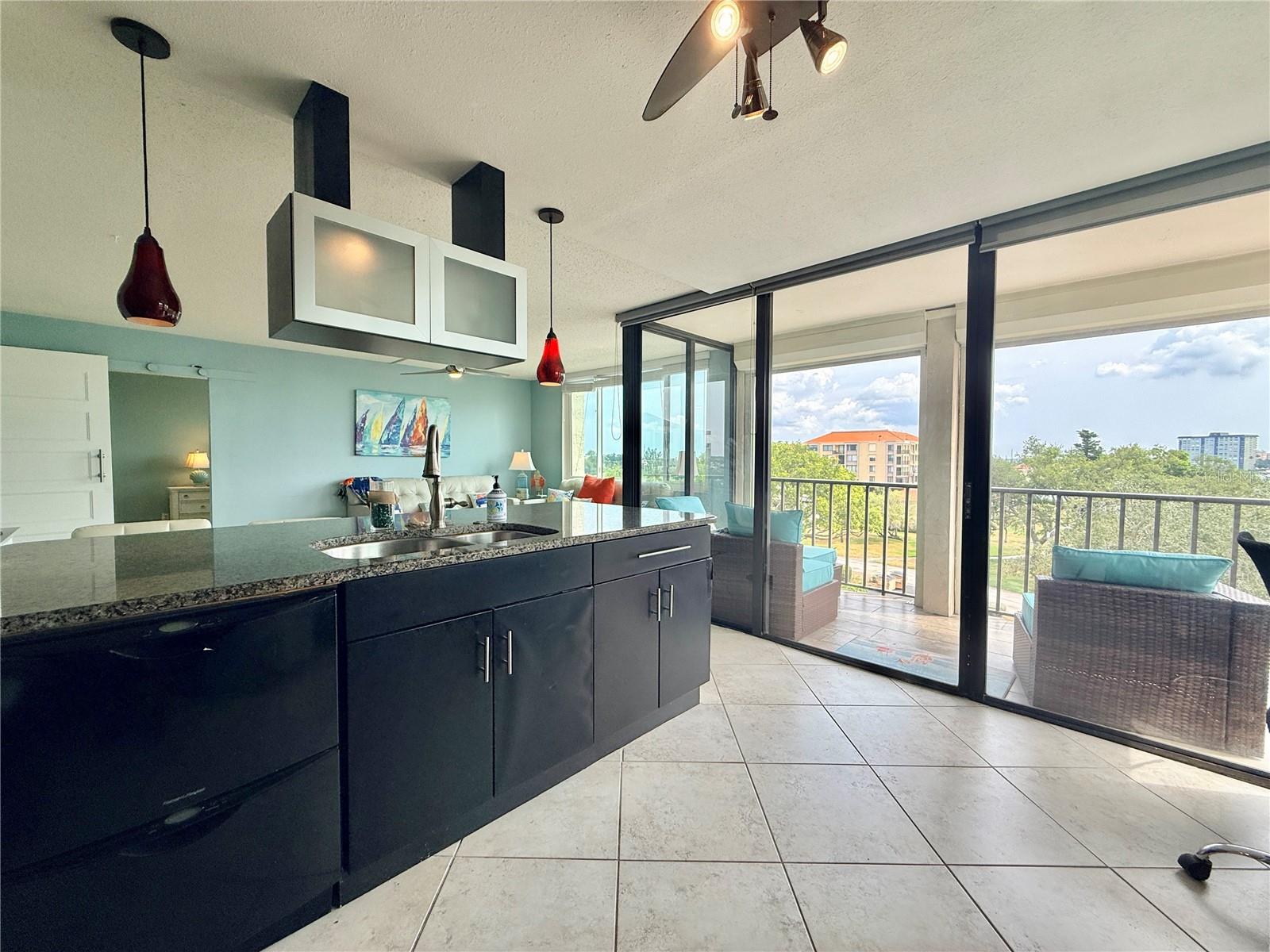 6219 PALMA DEL MAR BLVD S #504, ST PETERSBURG, FL — photo 10