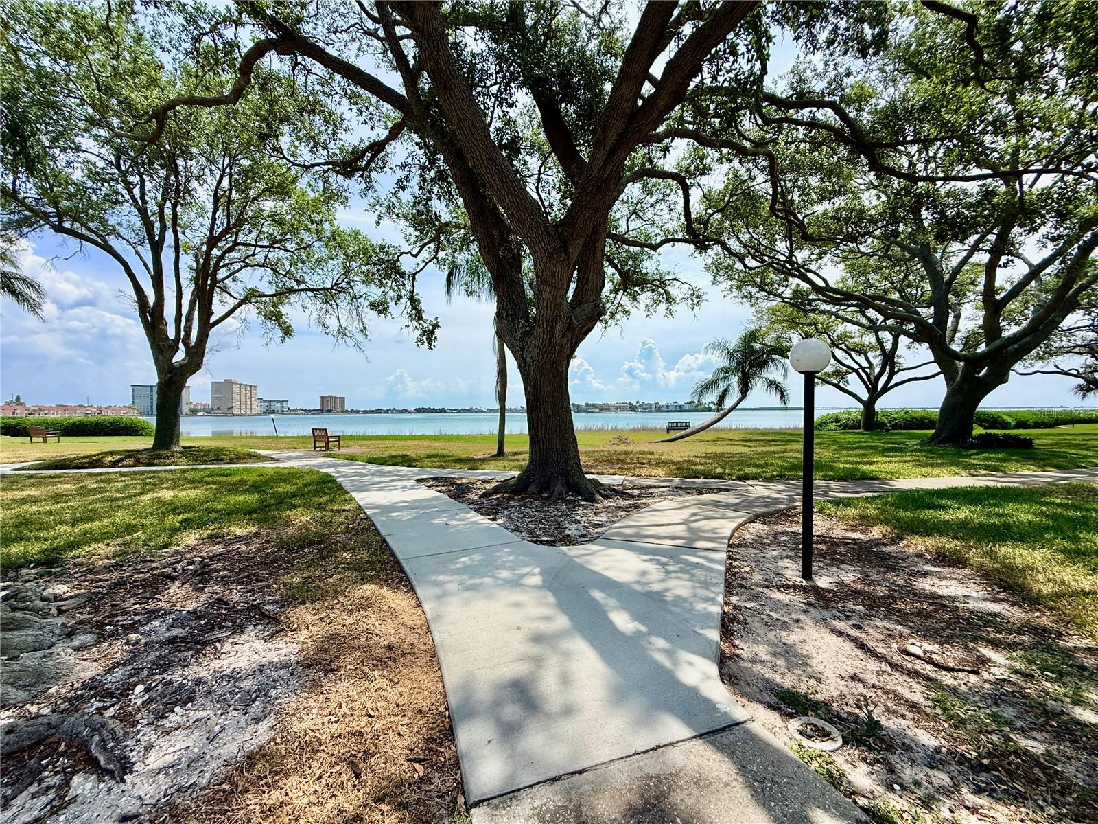 6219 PALMA DEL MAR BLVD S #504, ST PETERSBURG, FL — photo 59