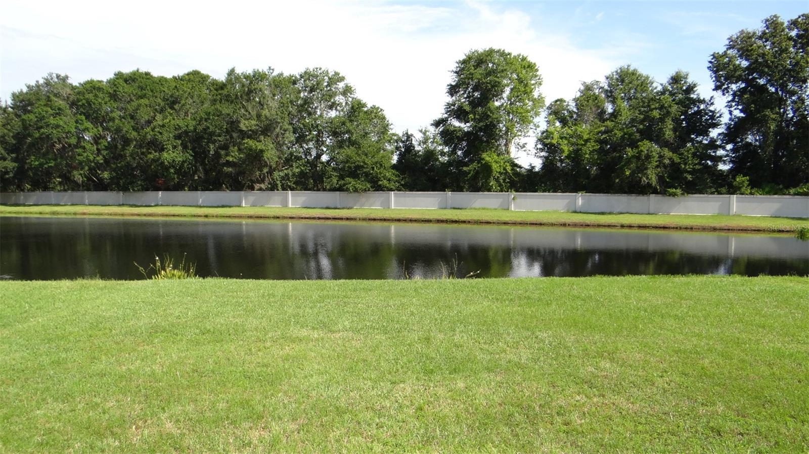 5930 WAR ADMIRAL DR, WESLEY CHAPEL, FL — photo 12