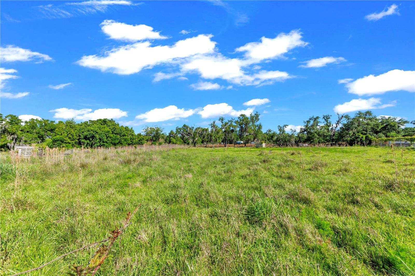 13610 ACKER RD, DOVER, FL — photo 23