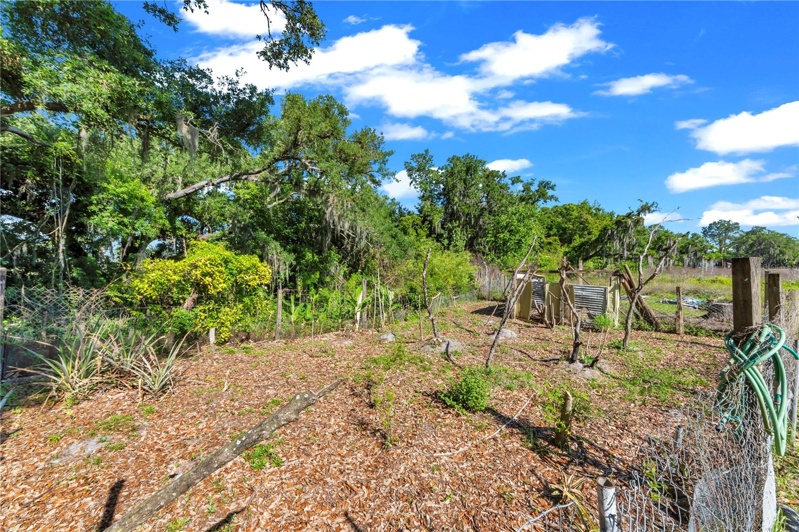 13610 ACKER RD, DOVER, FL — photo 26