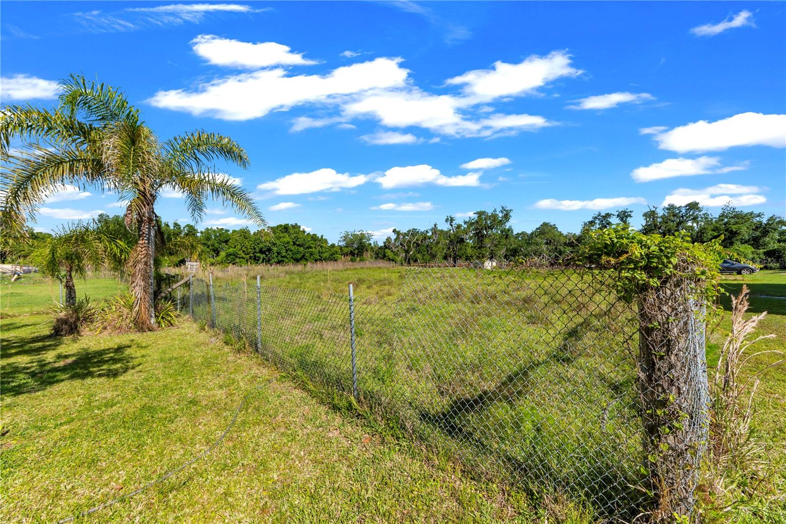 13610 ACKER RD, DOVER, FL — photo 34