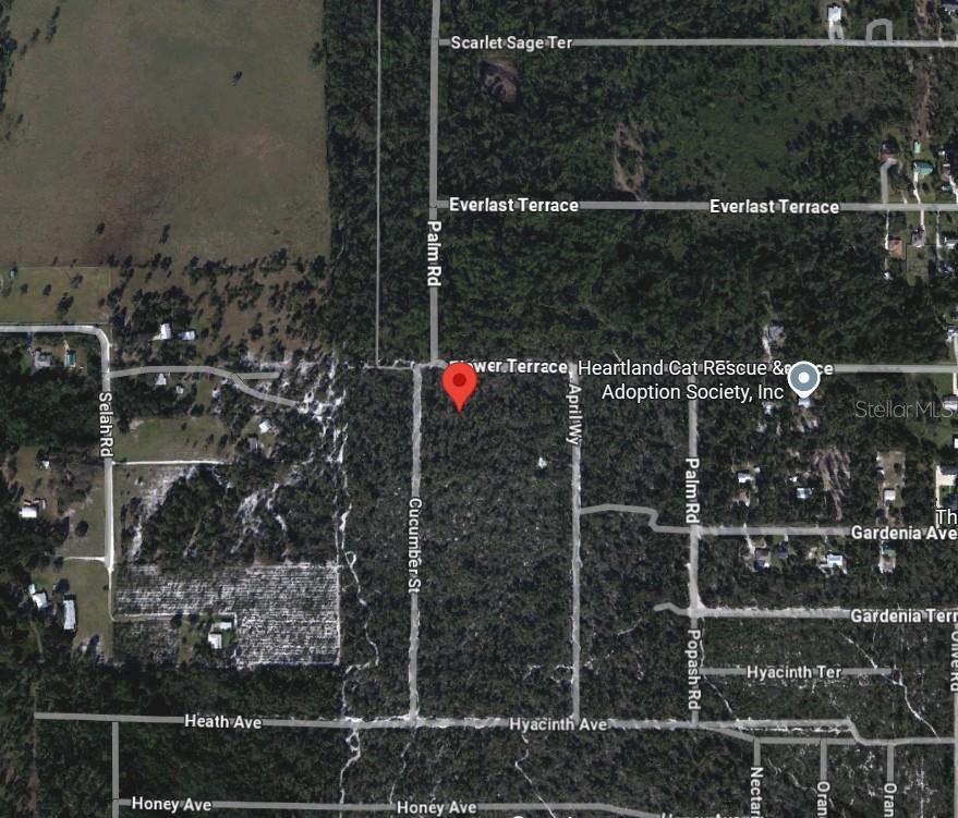 5306 CUCUMBER ST, SEBRING, FL