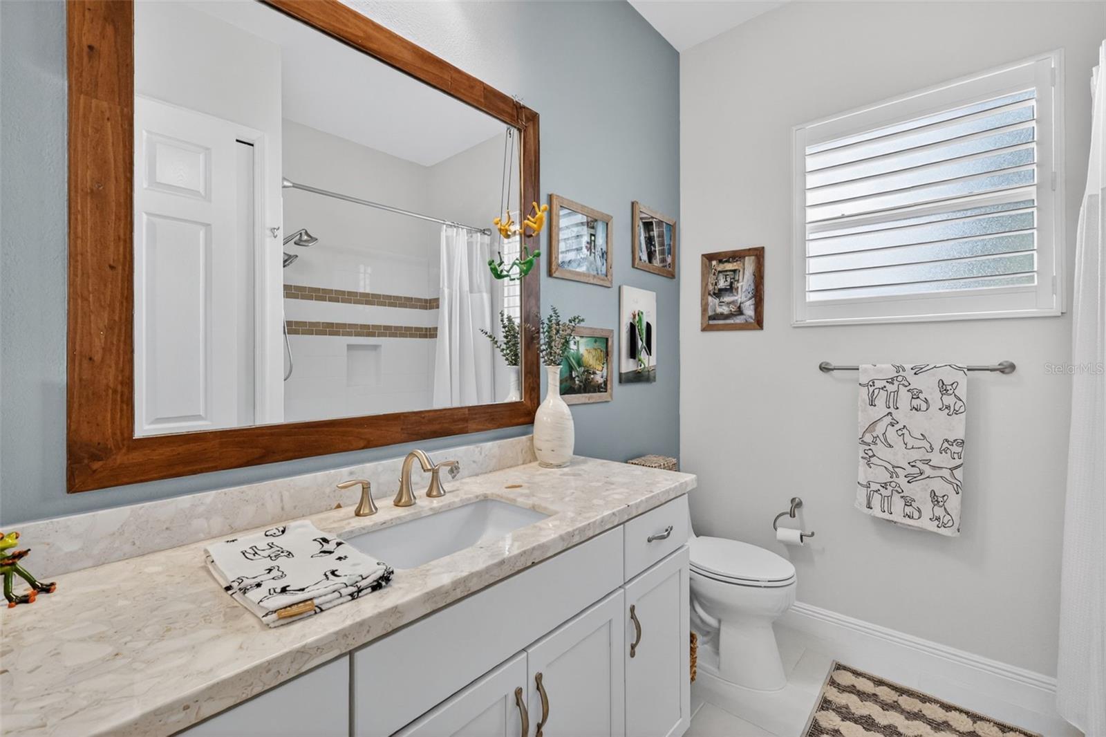 2493 PAWTUCKET PASS, MOUNT DORA, FL — photo 58