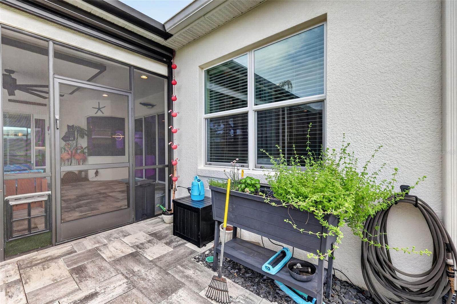 2493 PAWTUCKET PASS, MOUNT DORA, FL — photo 110
