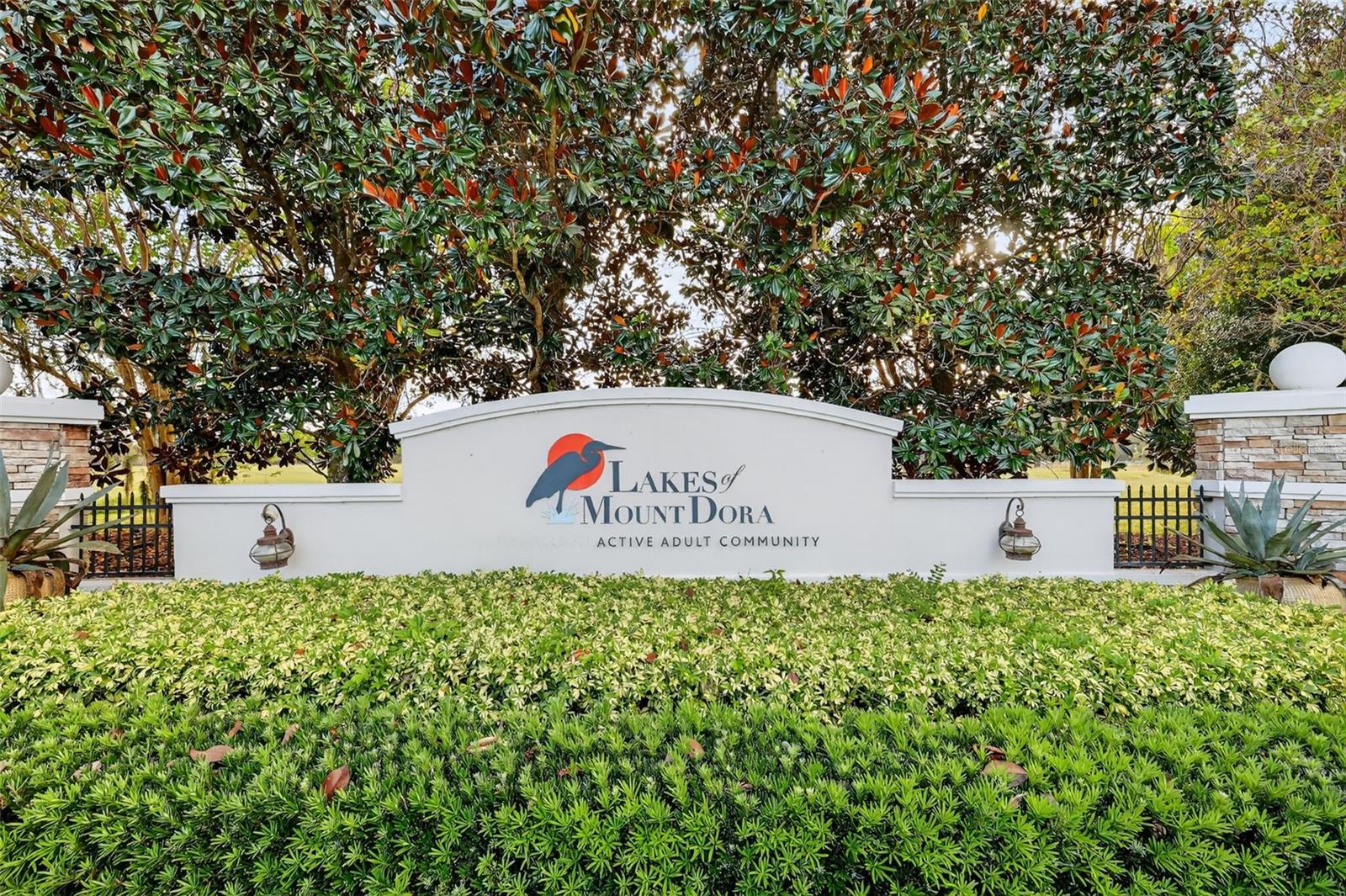 2493 PAWTUCKET PASS, MOUNT DORA, FL — photo 129