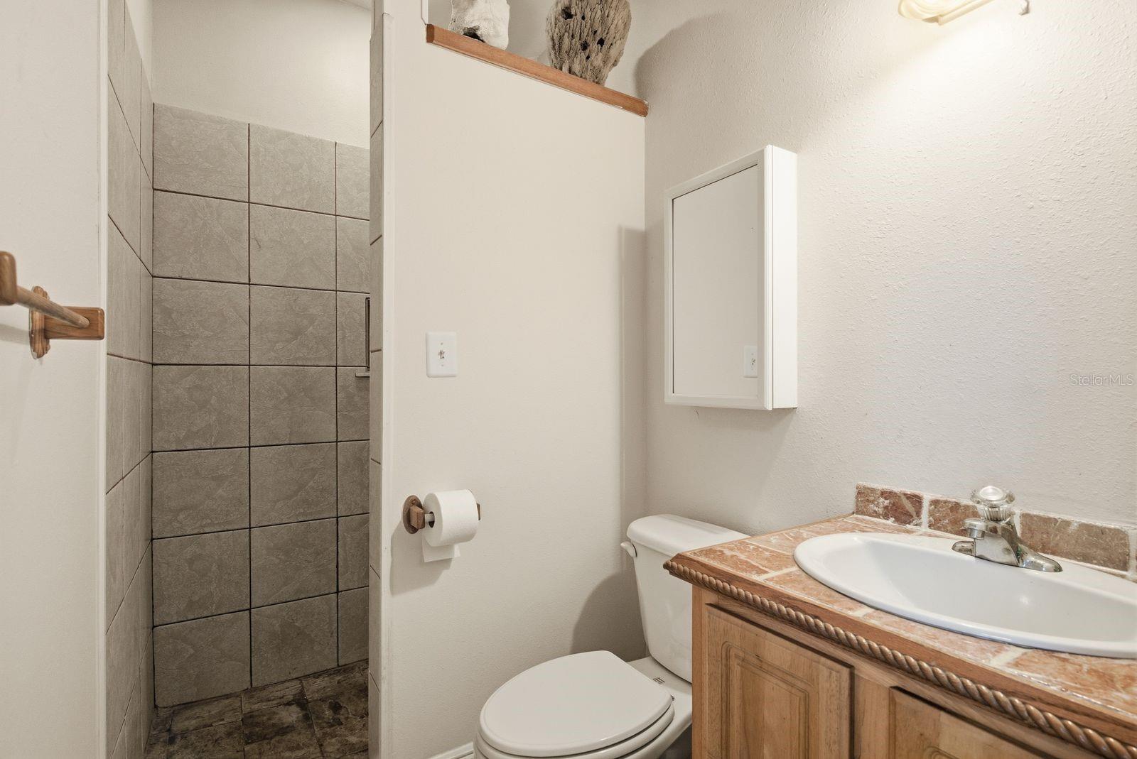 503 PALM AVE, PALM HARBOR, FL — photo 40