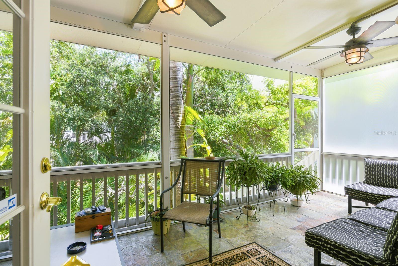 503 PALM AVE, PALM HARBOR, FL — photo 41