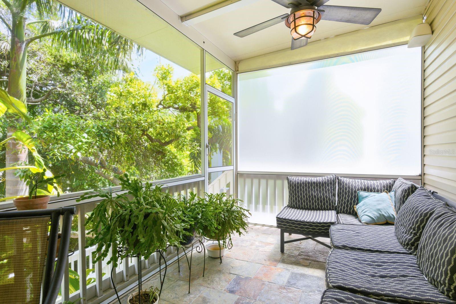 503 PALM AVE, PALM HARBOR, FL — photo 42