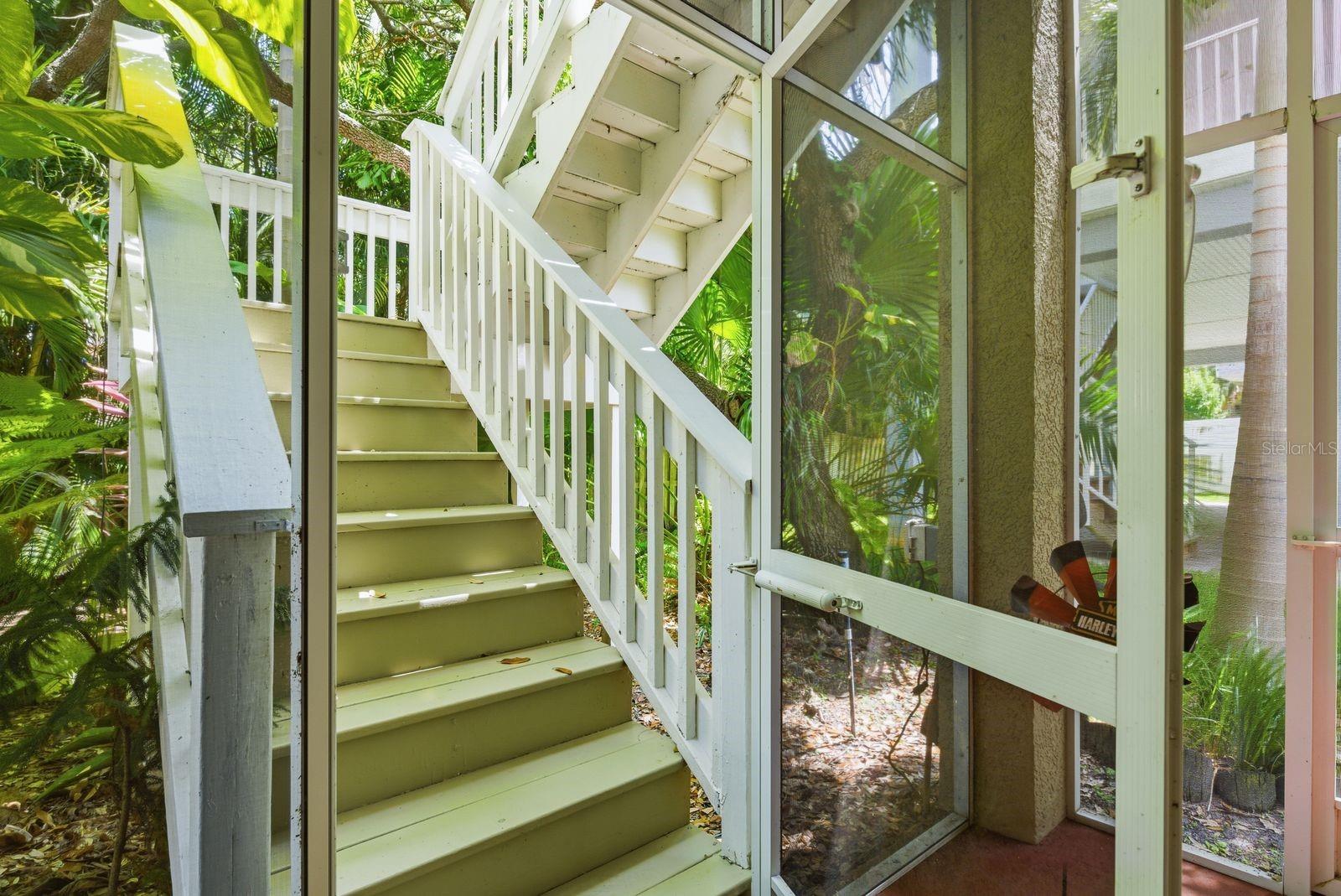 503 PALM AVE, PALM HARBOR, FL — photo 44