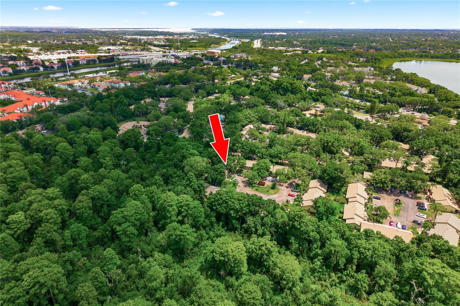 4041 ARROWWOOD CT #4041, PALM HARBOR, FL — photo 24