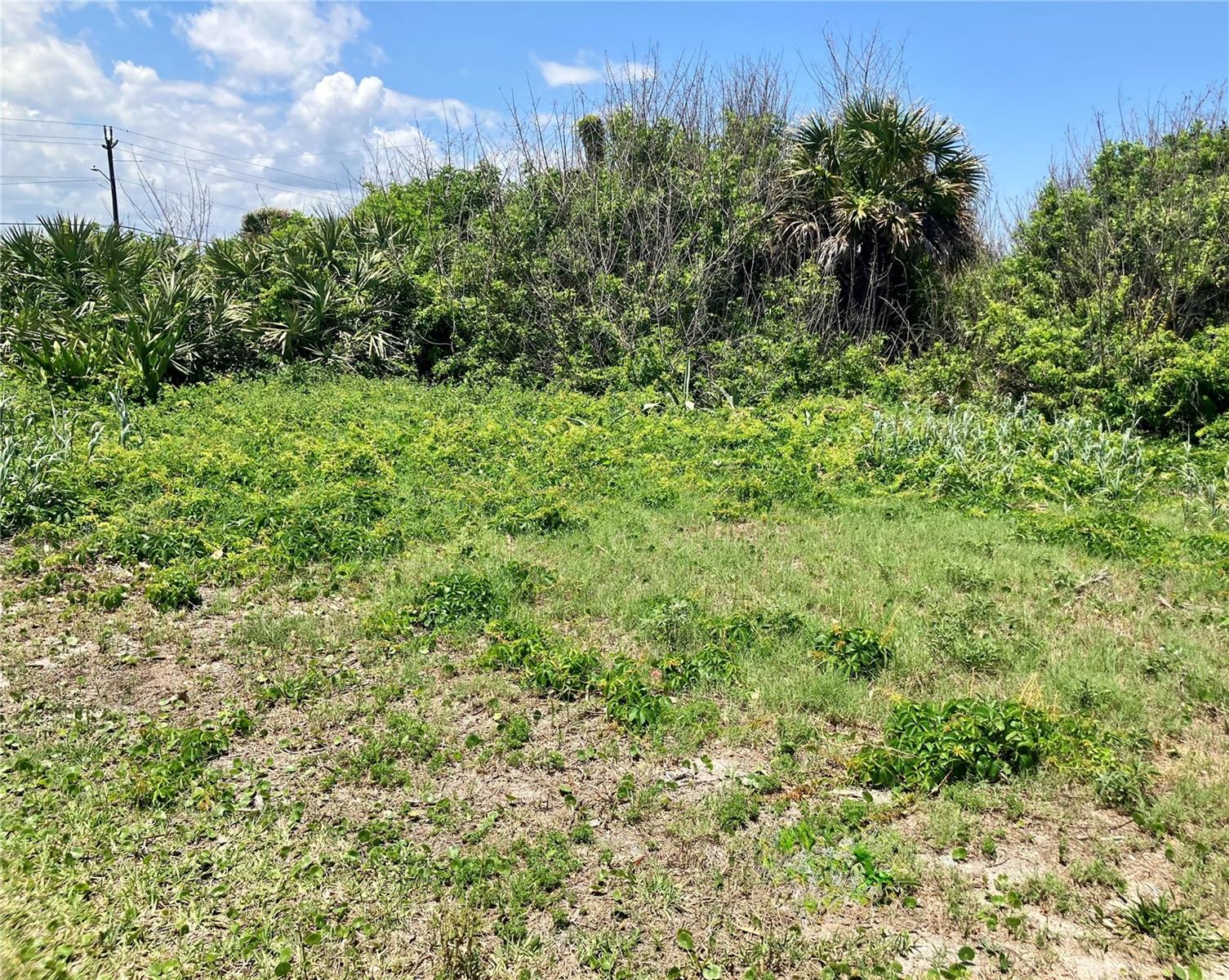 6000 S ATLANTIC AVE, NEW SMYRNA BEACH, FL — photo 14