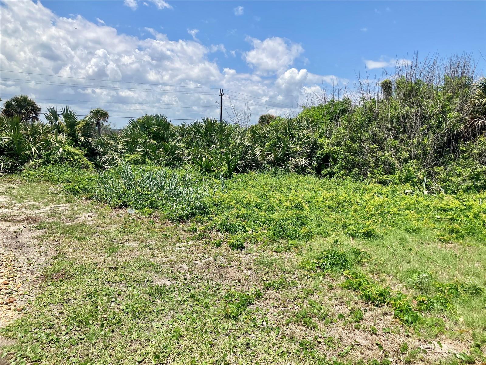 6000 S ATLANTIC AVE, NEW SMYRNA BEACH, FL — photo 3