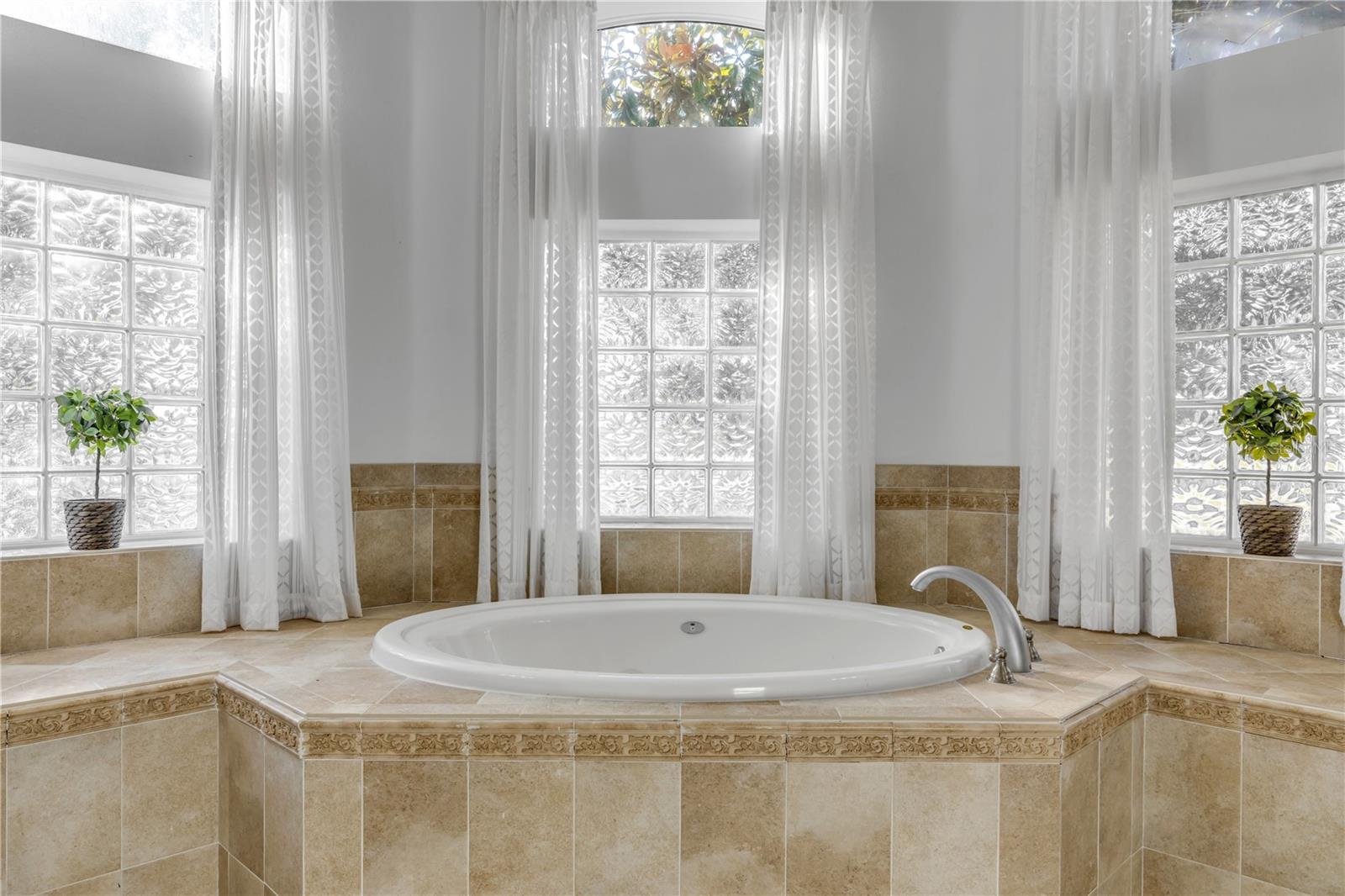 3021 ISOLA BELLA BLVD, MOUNT DORA, FL — photo 54