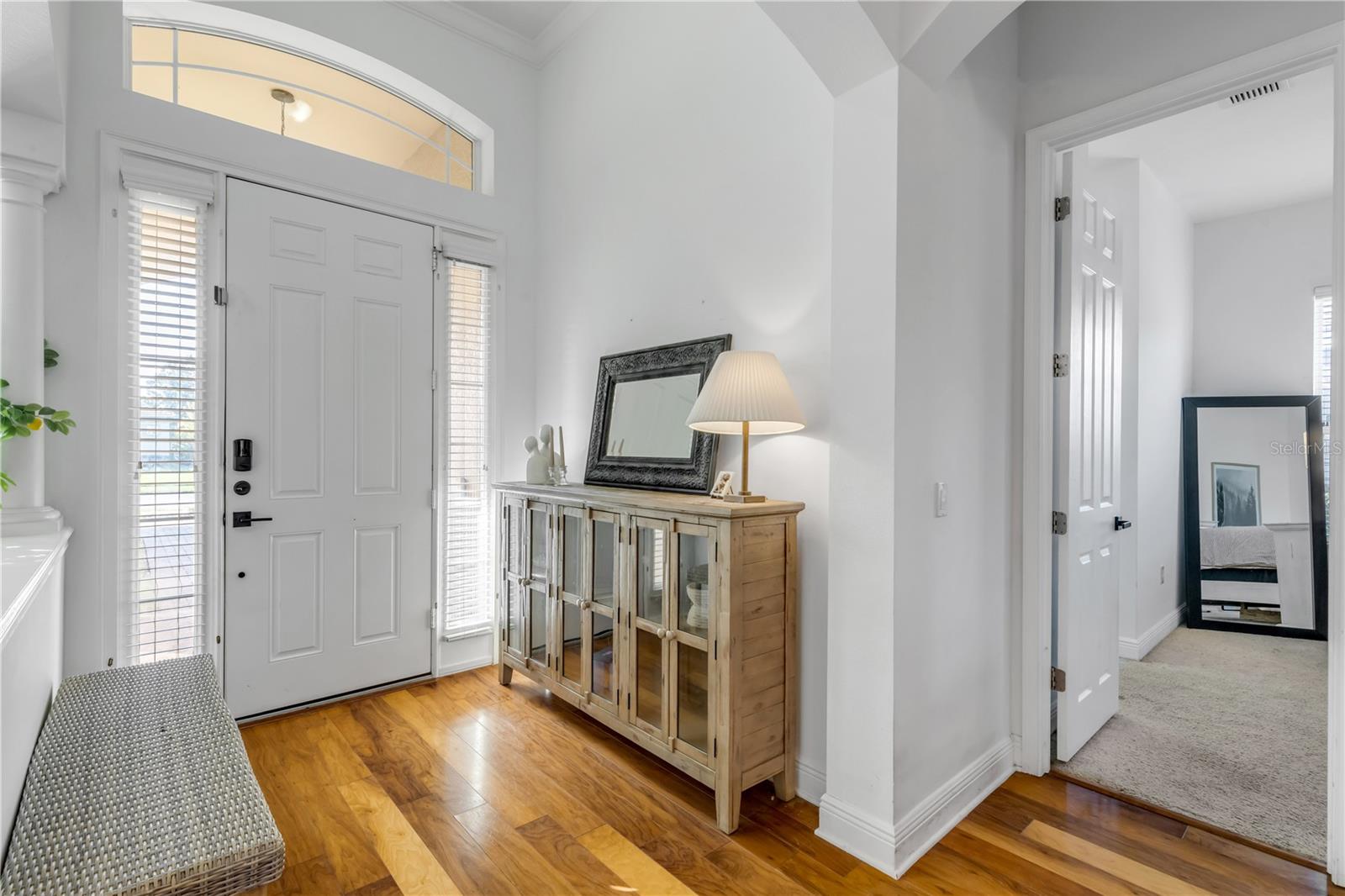 3021 ISOLA BELLA BLVD, MOUNT DORA, FL — photo 59