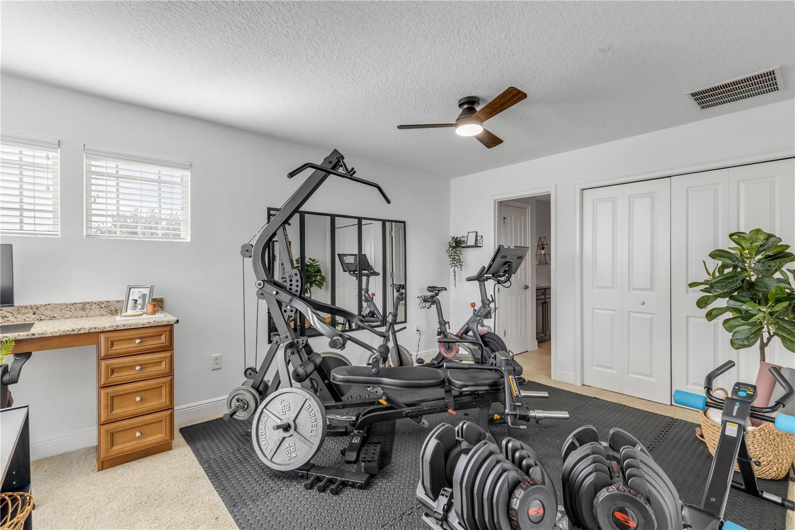 3021 ISOLA BELLA BLVD, MOUNT DORA, FL — photo 119