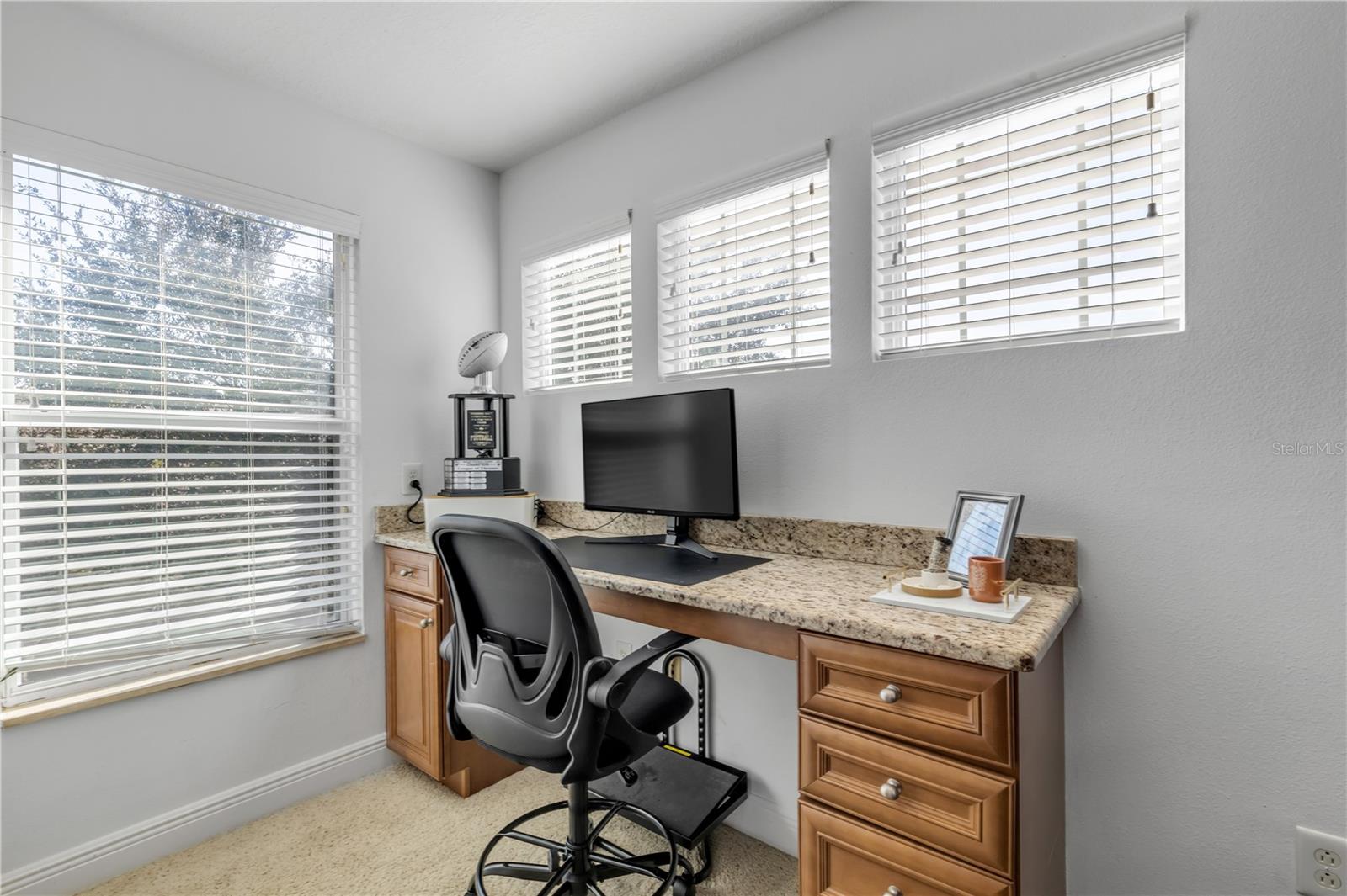 3021 ISOLA BELLA BLVD, MOUNT DORA, FL — photo 122