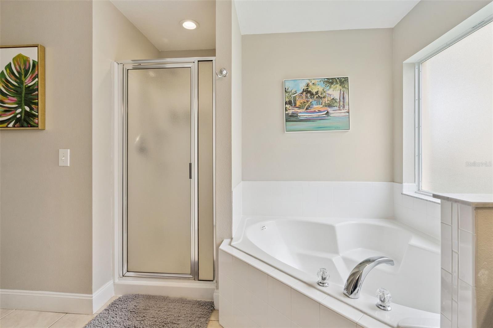 2694 LA ISLA CT, KISSIMMEE, FL — photo 19