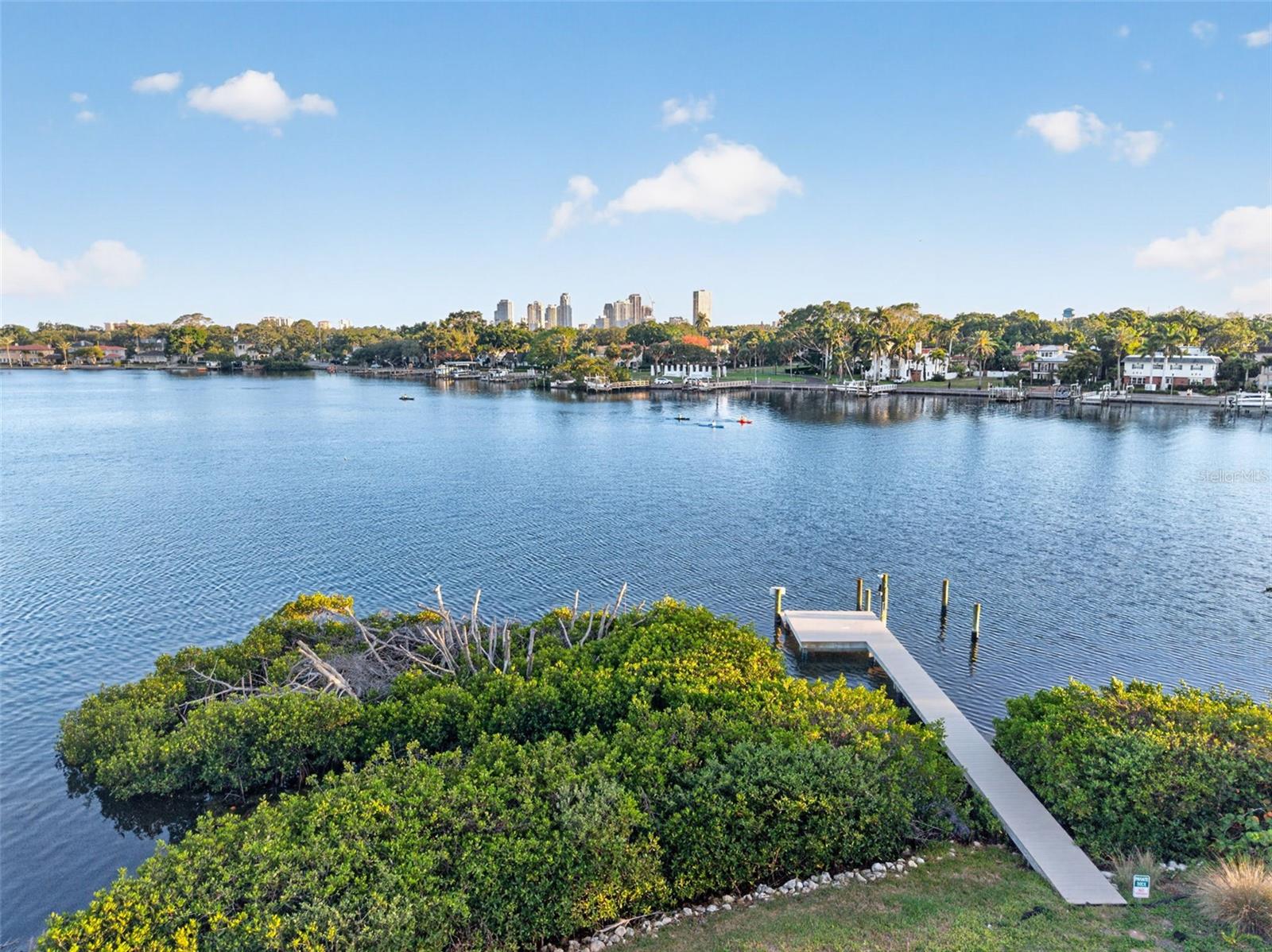 1026 MONTEREY BLVD NE, ST PETERSBURG, FL — photo 5