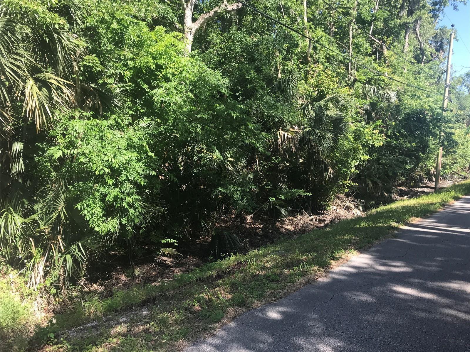 ELIZABETH ST, NEW SMYRNA BEACH, FL — photo 4