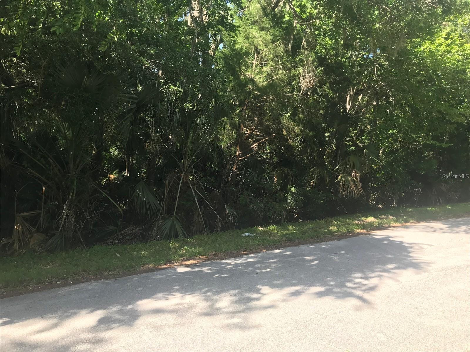 ELIZABETH ST, NEW SMYRNA BEACH, FL — photo 6
