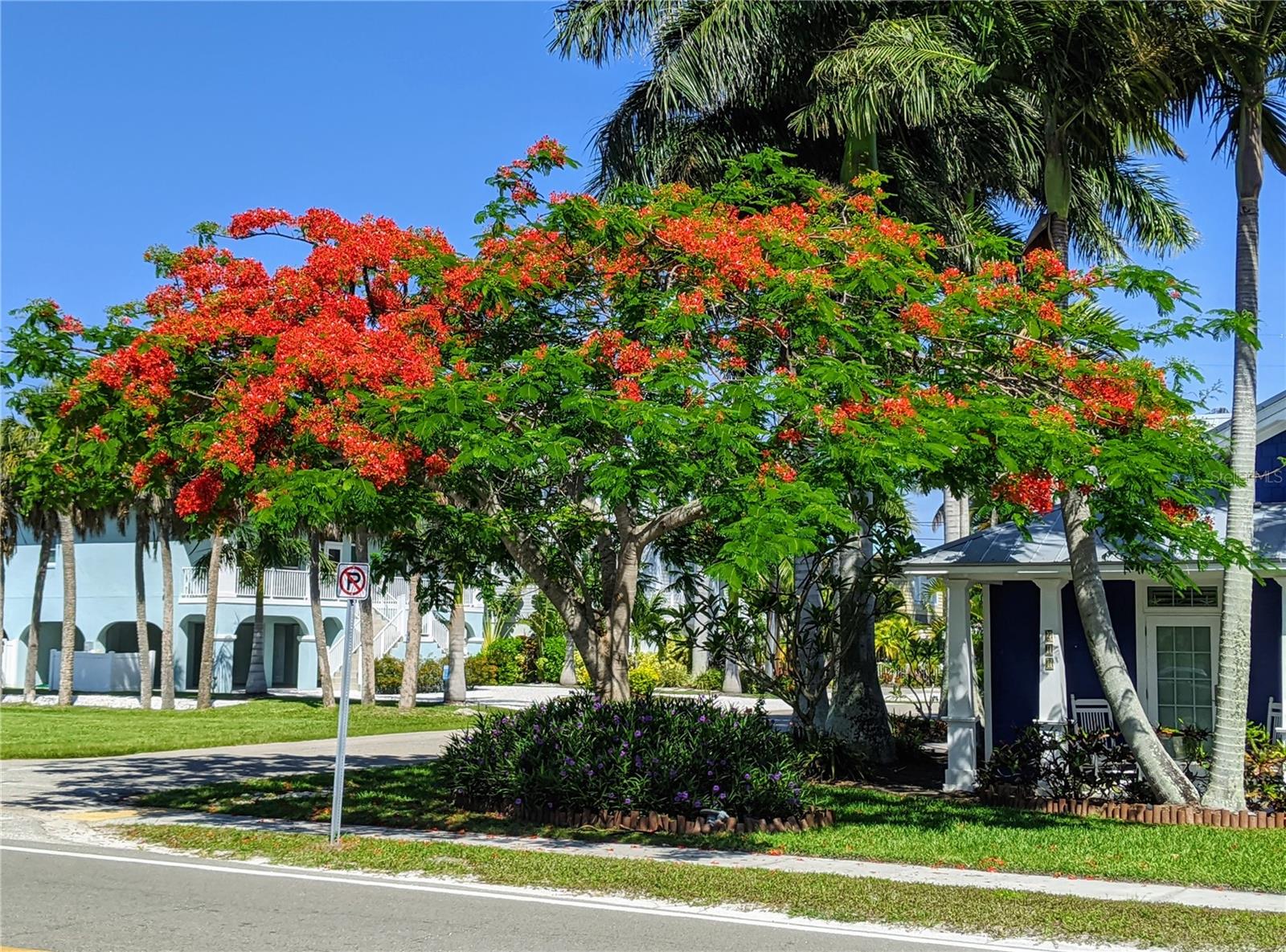 5862 WELCOME RD ##J-25, BRADENTON, FL — photo 26