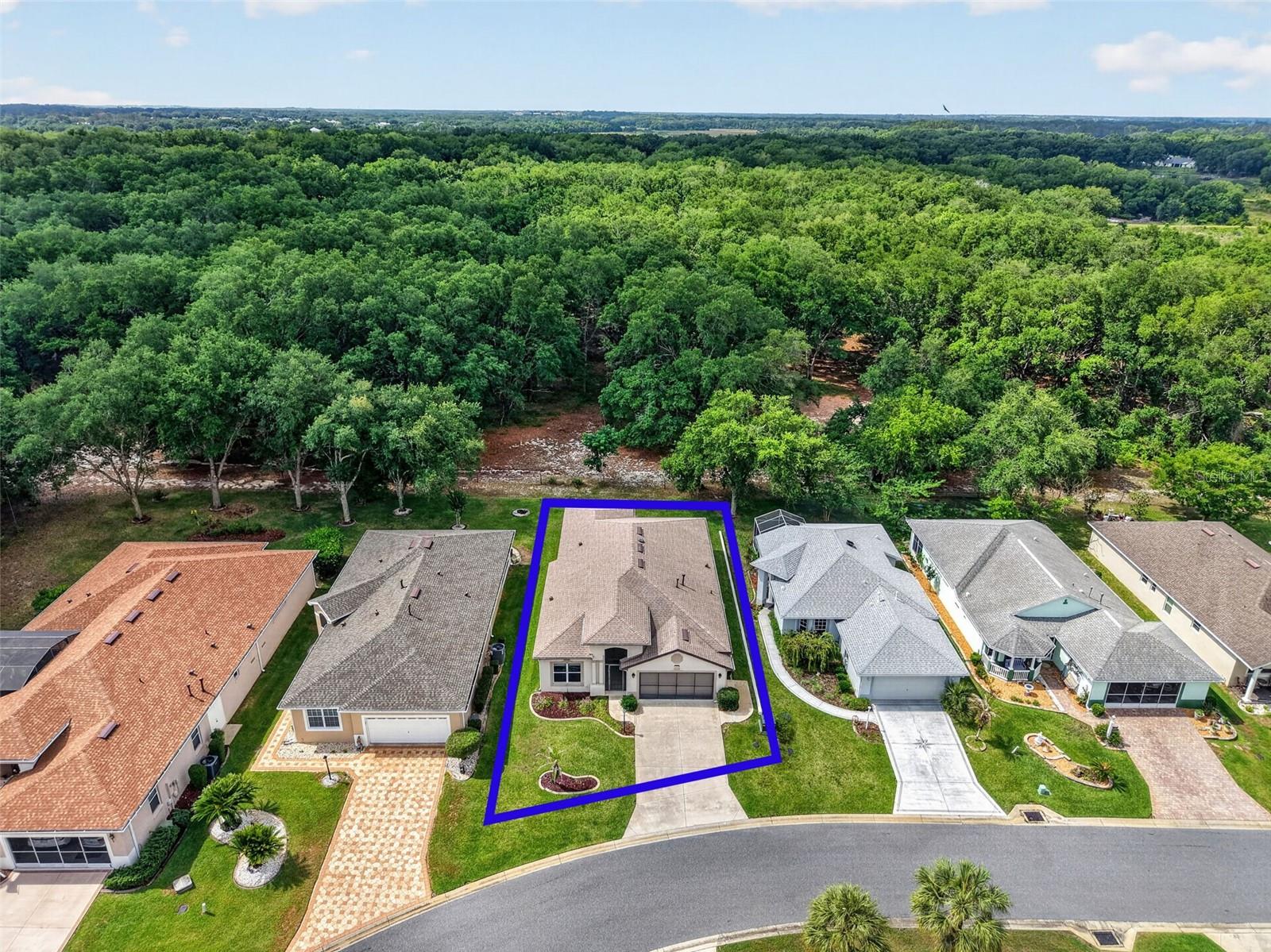 20634 QUEEN ALEXANDRA DR, LEESBURG, FL — photo 4