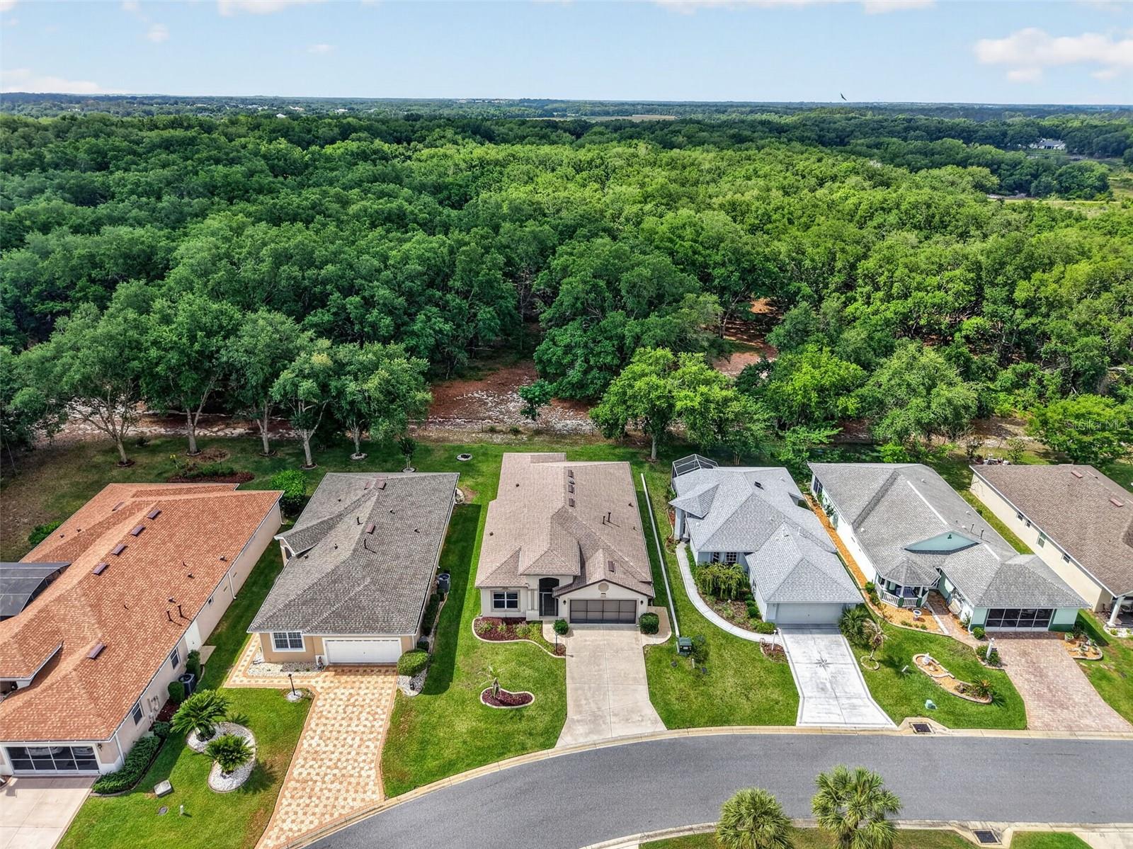 20634 QUEEN ALEXANDRA DR, LEESBURG, FL — photo 5
