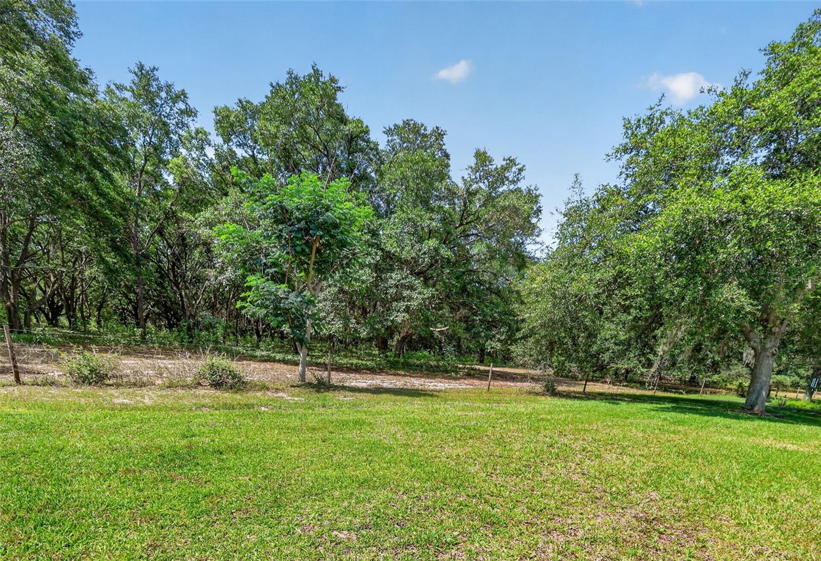 20634 QUEEN ALEXANDRA DR, LEESBURG, FL — photo 88
