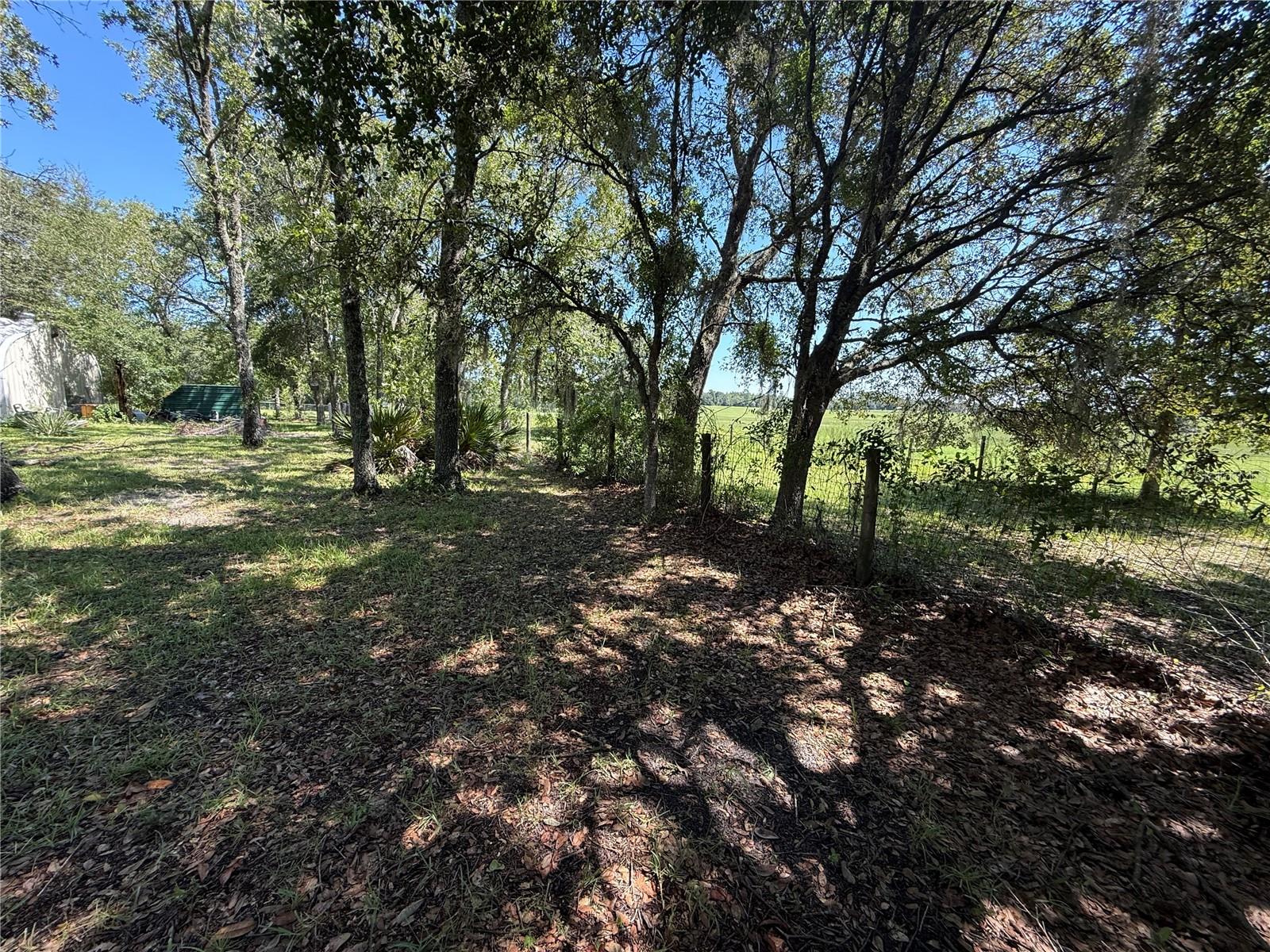 6555 SW 165TH CT, OCALA, FL — photo 33
