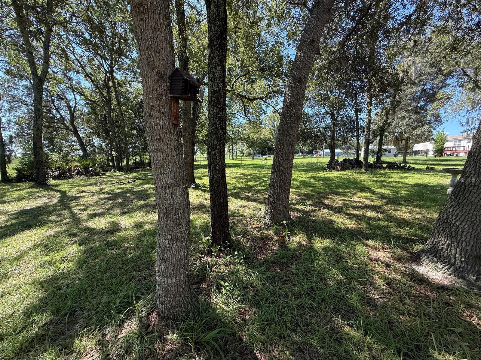6555 SW 165TH CT, OCALA, FL — photo 39