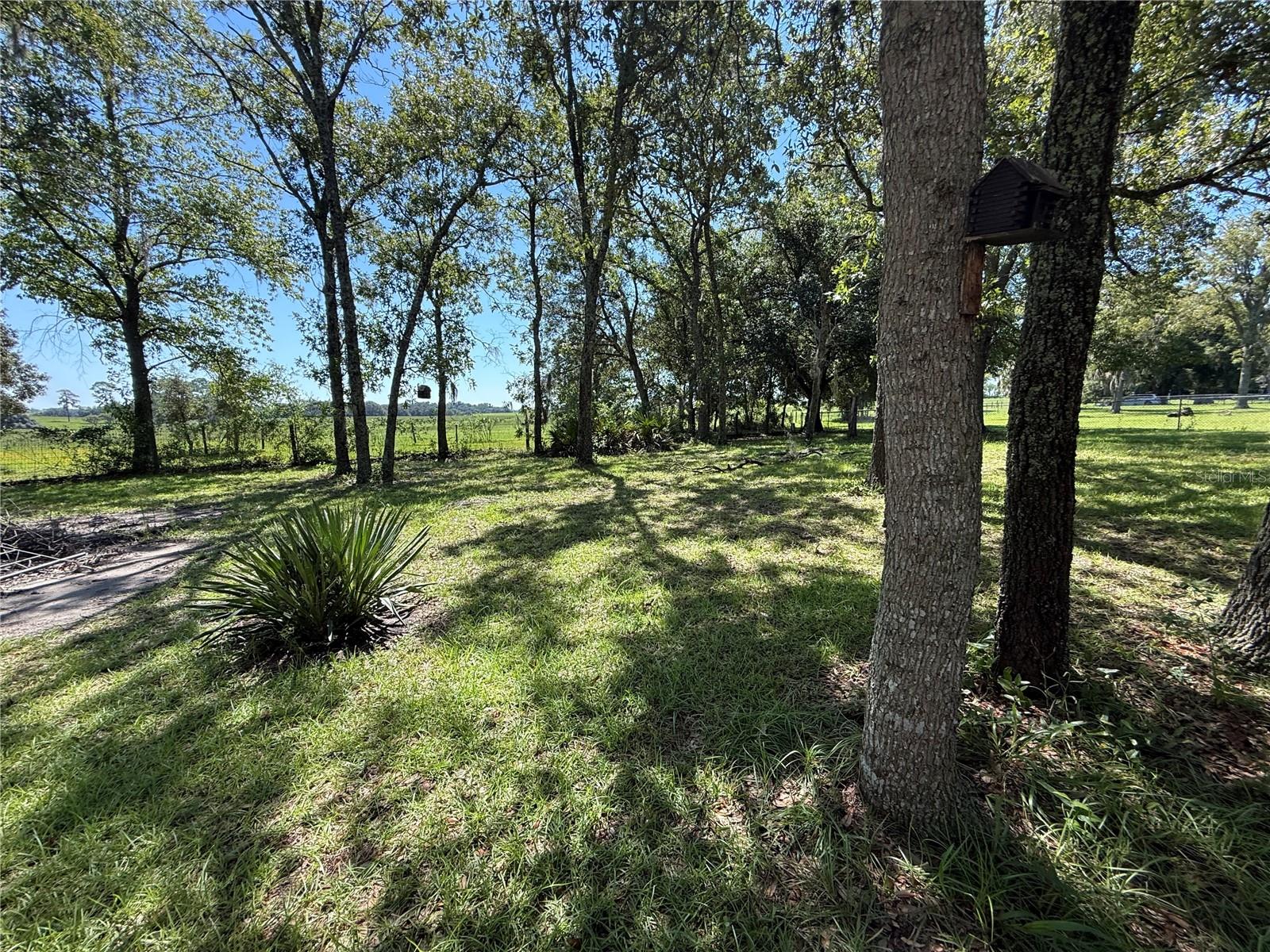 6555 SW 165TH CT, OCALA, FL — photo 40
