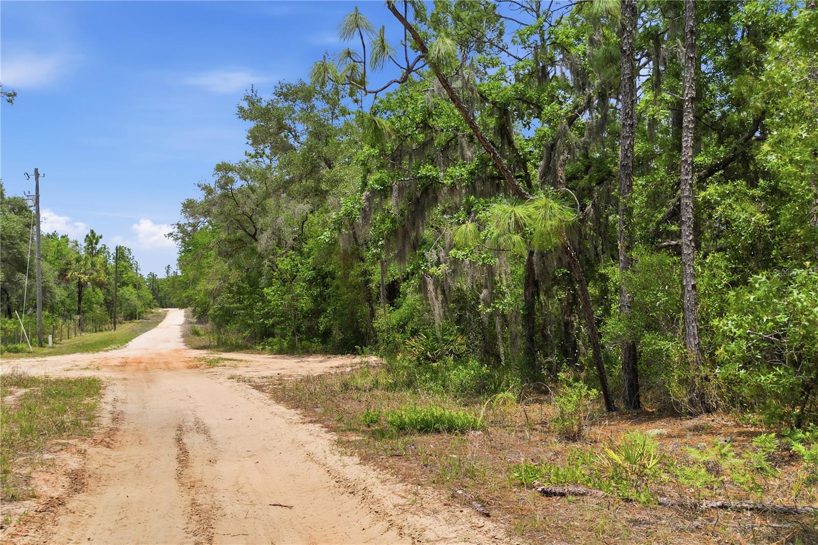 5339 N LACE PT, DUNNELLON, FL — photo 2