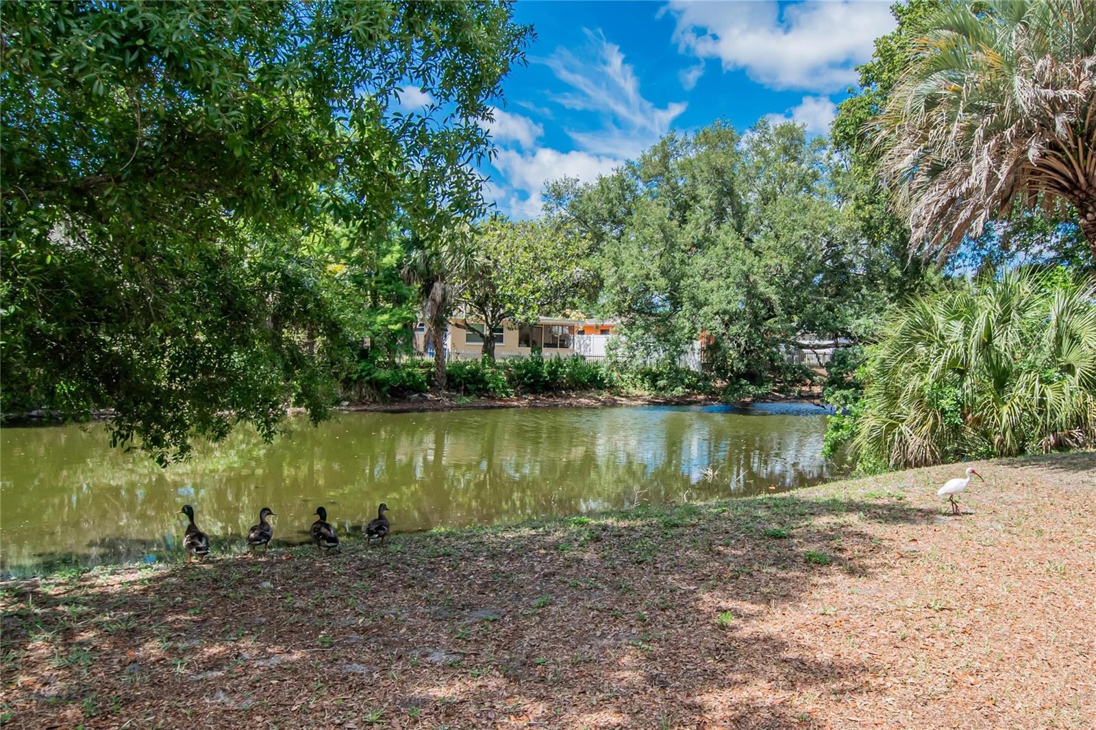750 GRAND CYPRESS LN, TARPON SPRINGS, FL — photo 76