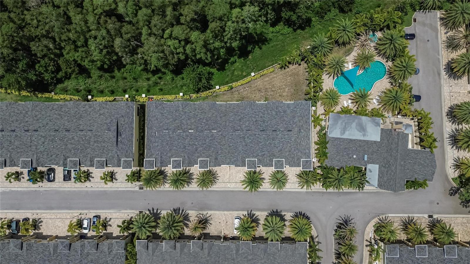 750 GRAND CYPRESS LN, TARPON SPRINGS, FL — photo 82