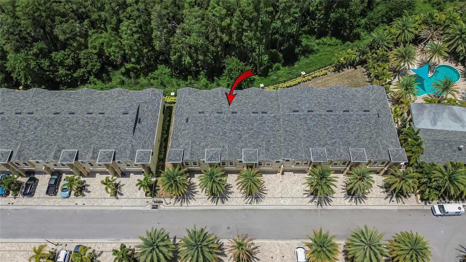 750 GRAND CYPRESS LN, TARPON SPRINGS, FL — photo 83