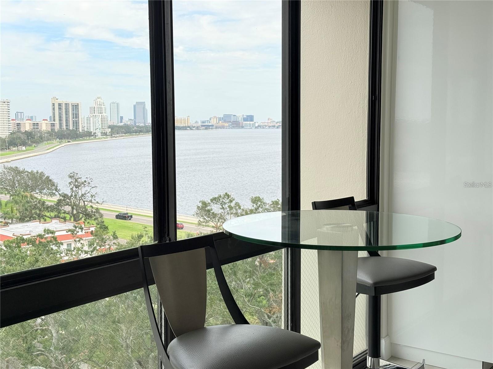 3301 BAYSHORE BLVD #1001E, TAMPA, FL — photo 4